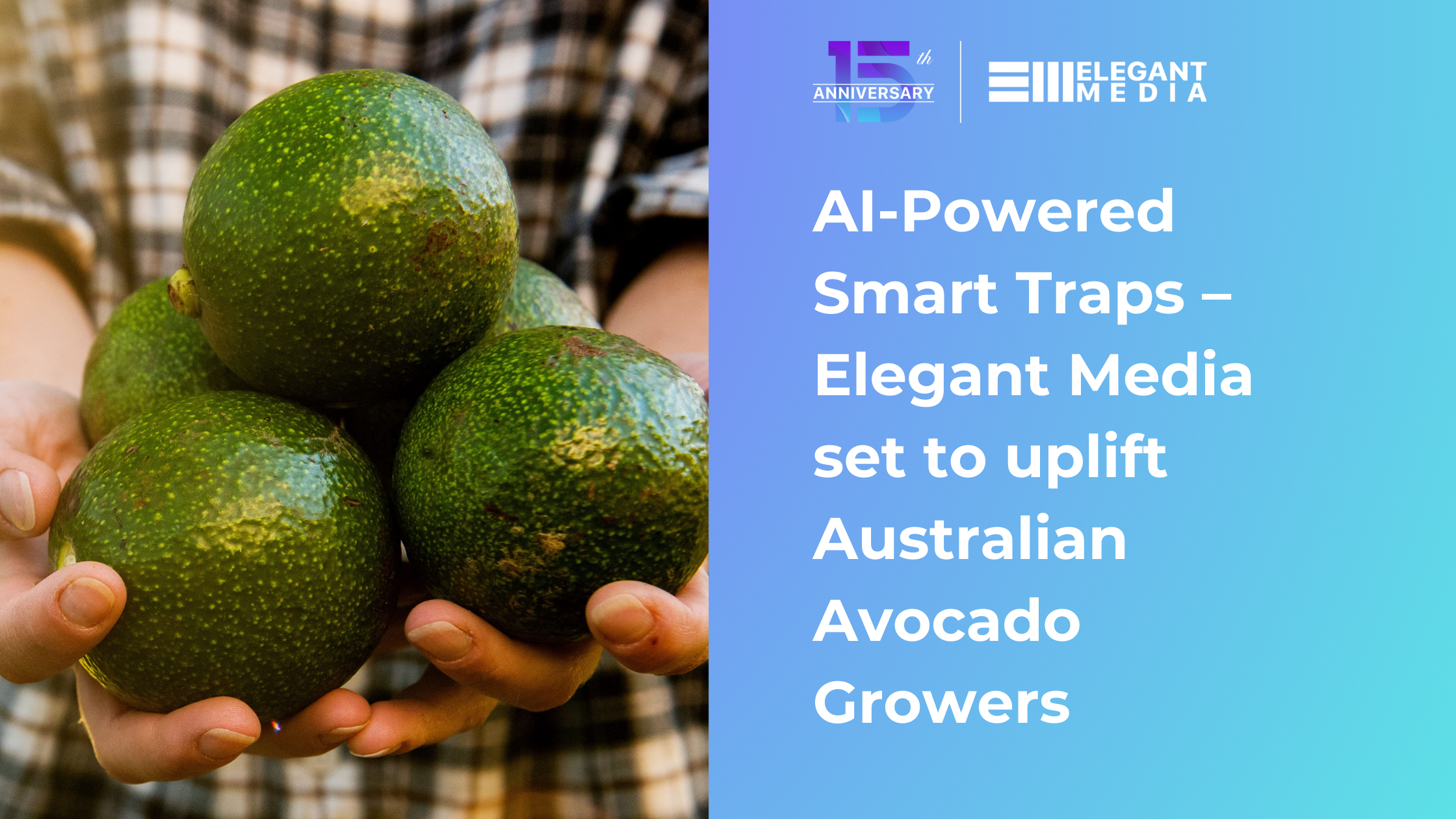 AI-Powered Smart Traps - Elegant Media set to uplift Australian Avocado Growers